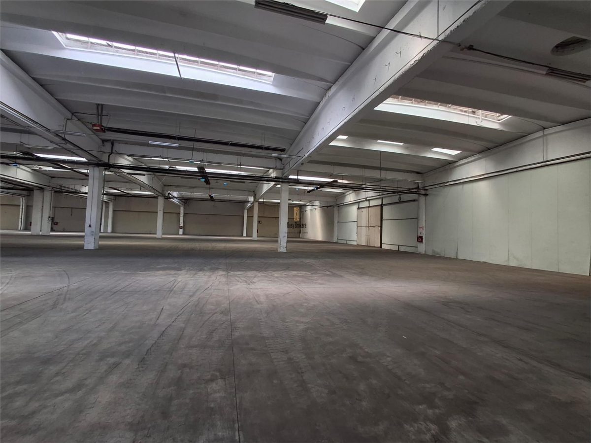 Spatiu Industrial - 2500 mp - Productie - Depozitare - Distributie - foto 17