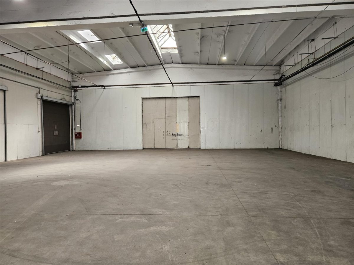 Spatiu Industrial - 2500 mp - Productie - Depozitare - Distributie - foto 18