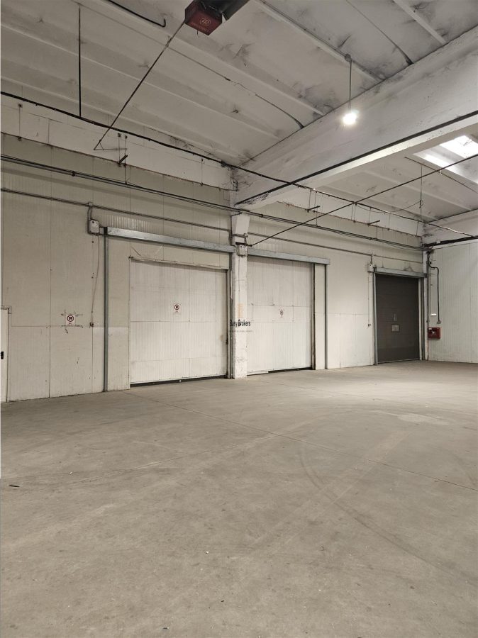 Spatiu Industrial - 2500 mp - Productie - Depozitare - Distributie - foto 19