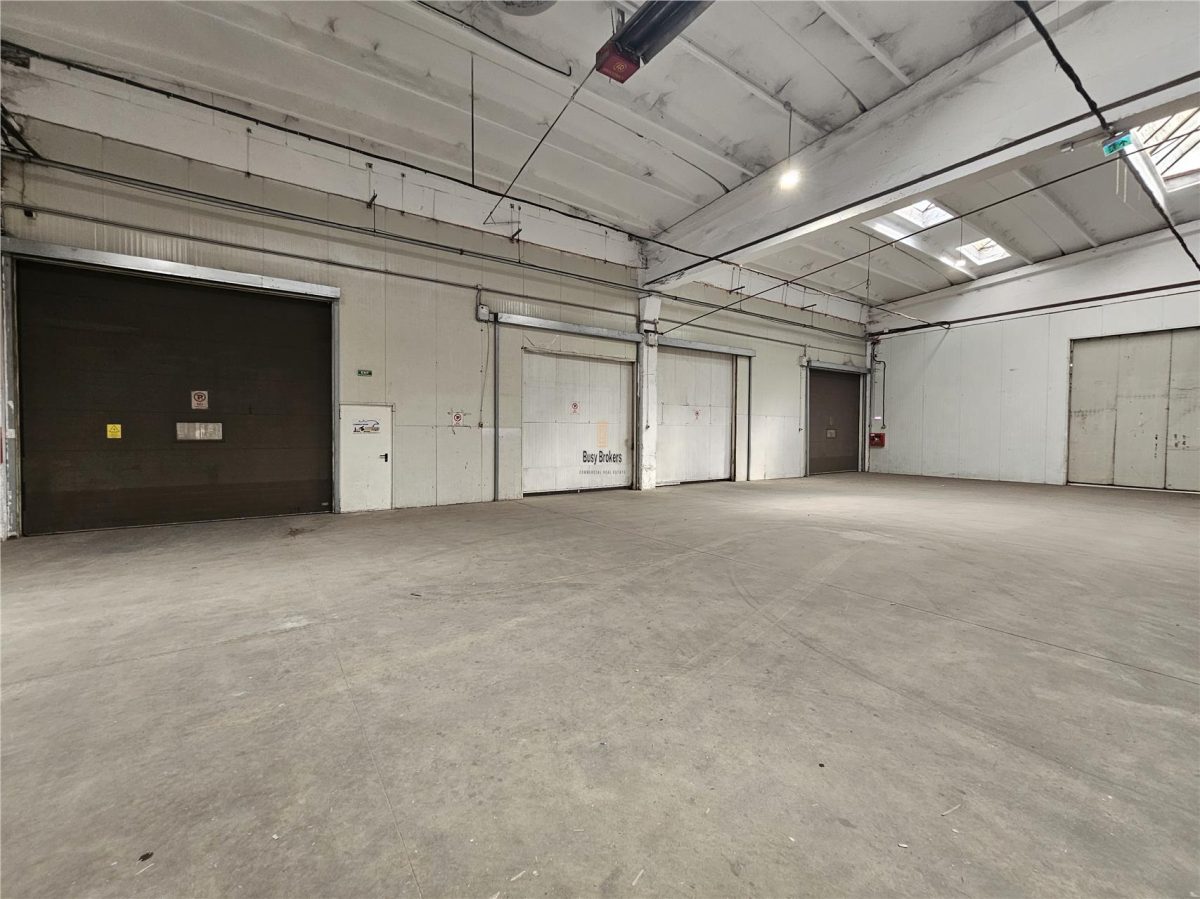 Spatiu Industrial - 2500 mp - Productie - Depozitare - Distributie - foto 20