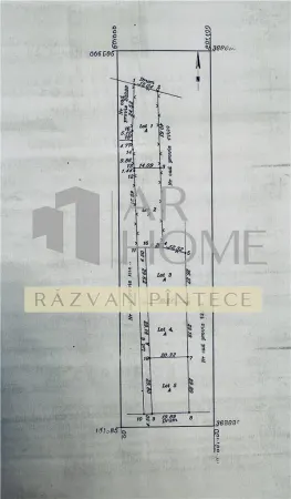 Teren Gherghita - poza 4