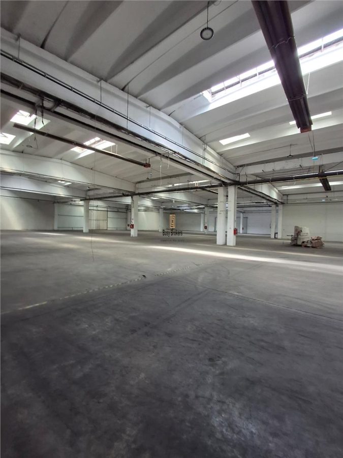 Spatiu Industrial - 4500 mp - Productie - Depozitare - Distributie - foto 11