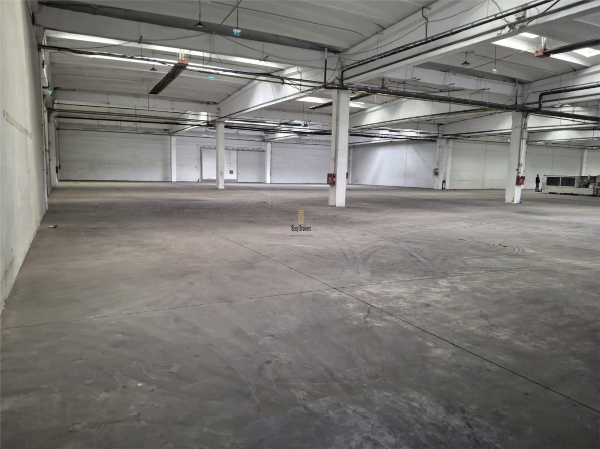 Spatiu Industrial - 4500 mp - Productie - Depozitare - Distributie - foto 12