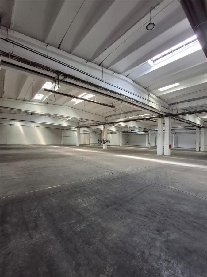 Spatiu Industrial - 4500 mp - Productie - Depozitare - Distributie - foto 14