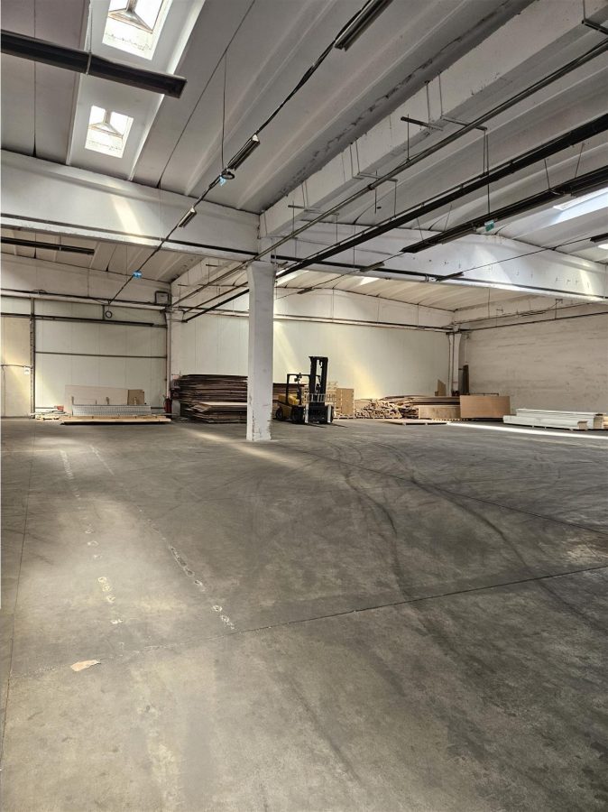 Spatiu Industrial - 4500 mp - Productie - Depozitare - Distributie - foto 18