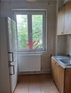 Vânzare apartament Baicului , Doamna ghica - foto 4