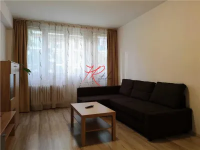 Vanzare apartament mobilat renovat de 2 camere in Obor - foto 2