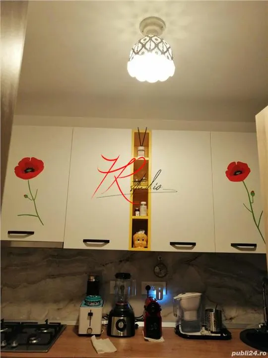 Vanzare apartament 2 camere Domenii - foto 4
