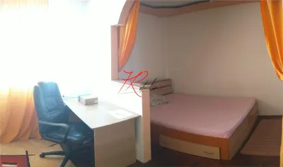 Vanzare garsoniera pe terasa blocului , Obregia - foto 3