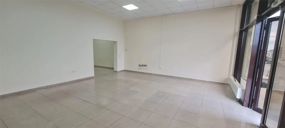 Spatiu comercial - 133mp - Turnisor - foto 12