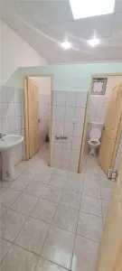 Spatiu comercial - 133mp - Turnisor - foto 8
