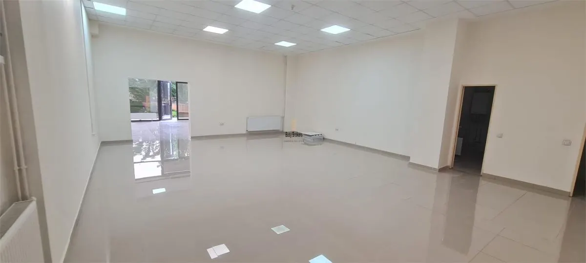 Spatiu comercial - 133mp - Turnisor - foto 10
