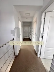 Vanzare spatiu comercial si curte generoasa, in Paulestii Noi - foto 19