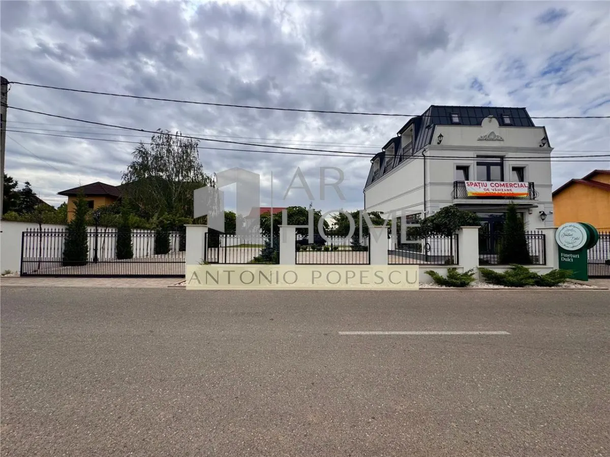 Vanzare spatiu comercial si curte generoasa, in Paulestii Noi - foto 20