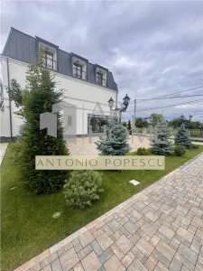 Vanzare spatiu comercial si curte generoasa, in Paulestii Noi - foto 3