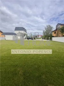 Vanzare spatiu comercial si curte generoasa, in Paulestii Noi - foto 22