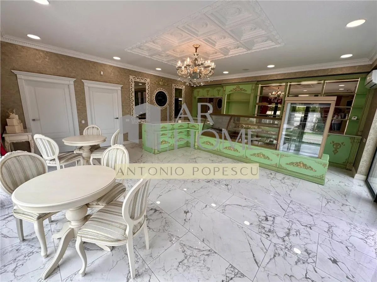 Vanzare spatiu comercial si curte generoasa, in Paulestii Noi - foto 4