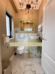 Vanzare spatiu comercial si curte generoasa, in Paulestii Noi - foto 5