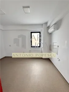 Vanzare spatiu comercial si curte generoasa, in Paulestii Noi - foto 10