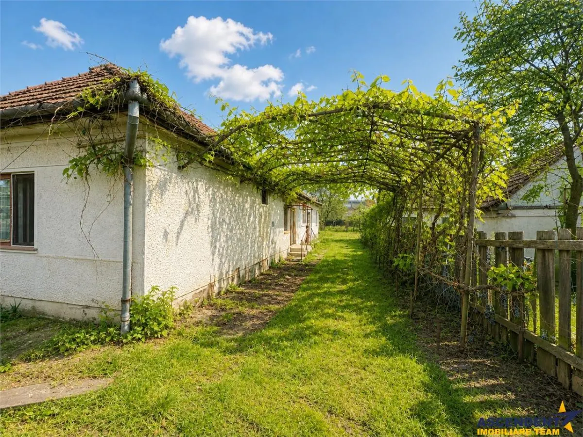Casa cu  1.924 mp teren, de inchiriat, Sfantu Gheorghe - foto 1