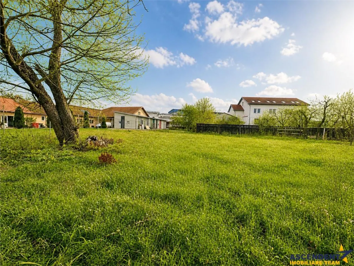 Casa cu  1.924 mp teren, de inchiriat, Sfantu Gheorghe - foto 3