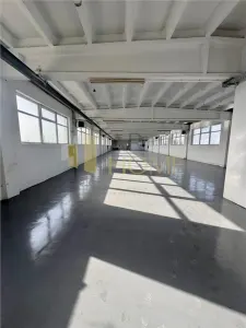 Hala industriala P+1E, 1646 mp, Ploiesti, Mihai Bravu, acces tir. - foto 6