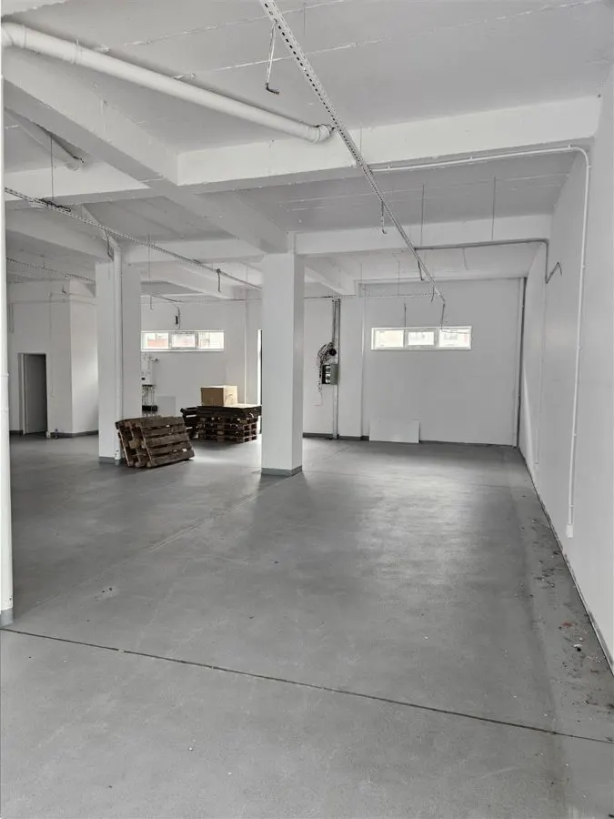 Spatiu Comercial - 200 mp - Showroom - Servicii - Clinica Medicala - foto 3