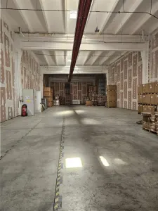 Spatiu Industrial - 3300 mp - Productie - Depozitare - Distributie - foto 29