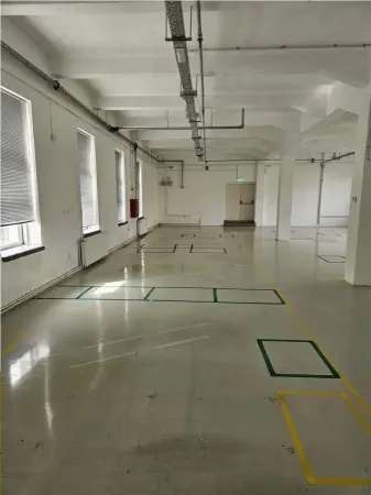 Spațiu industrial Cisnădie - poza 29