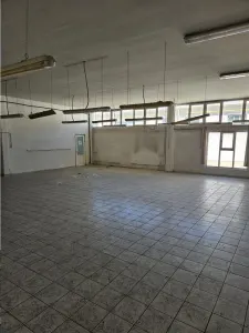 Spatiu Industrial - 3000 mp - Productie - Depozitare - Distributie - foto 19
