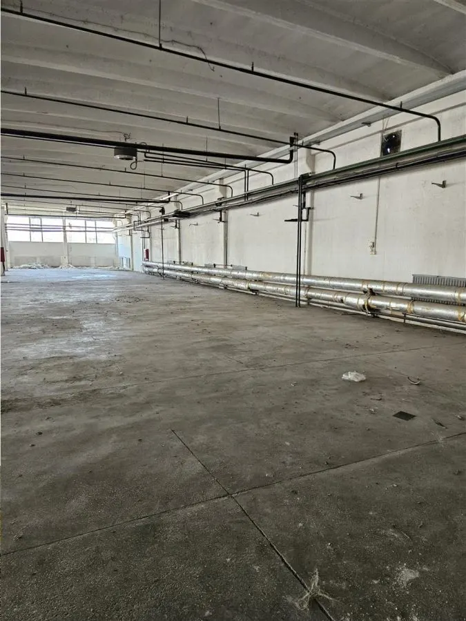 Spatiu Industrial - 3000 mp - Productie - Depozitare - Distributie - foto 6