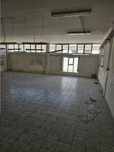 Spatiu Industrial - 1700 mp - Productie - Depozitare - Distributie - foto 8
