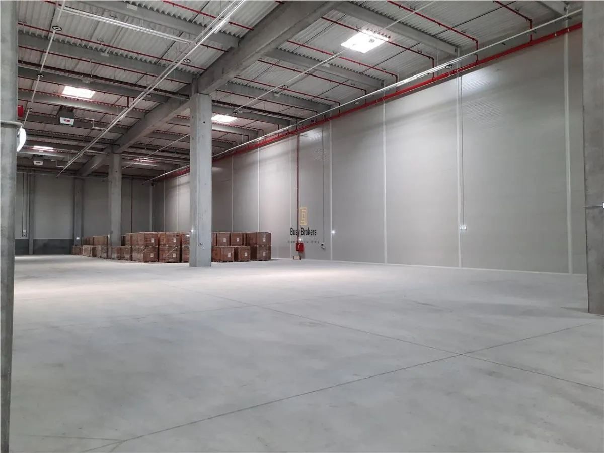 Spatiu Industrial - 9500 mp - Logistica - Depozitare - Distributie - foto 11