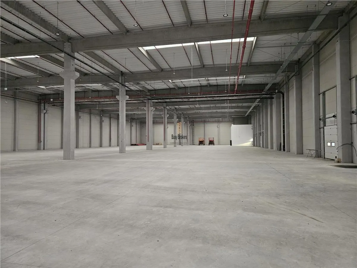 Spatiu Industrial - 4300 mp - Logistica - Depozitare - Distributie - foto 8