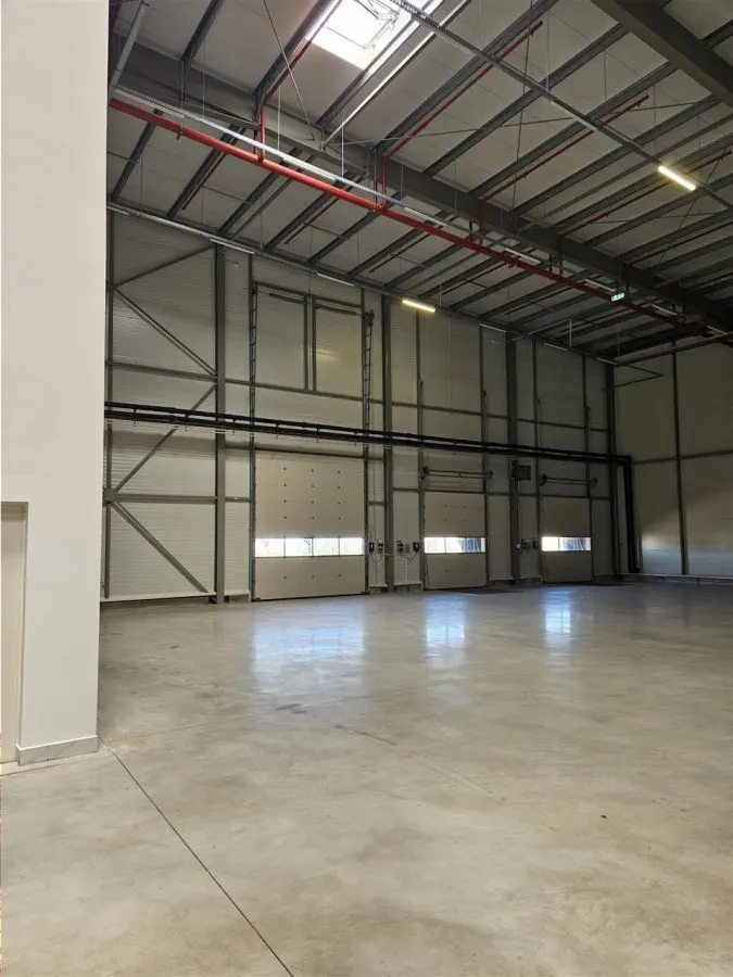 Spatiu Industrial - 2500 mp - Logistica - Productie - Depozitare - Distributie - foto 11