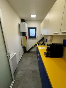 Vanzare hala industriala cu platforma betonata, in Paulestii Noi, acces tir - foto 16