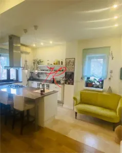 Vanzare apartament in Vila , Dorobanti Capitale, renovat - foto 2