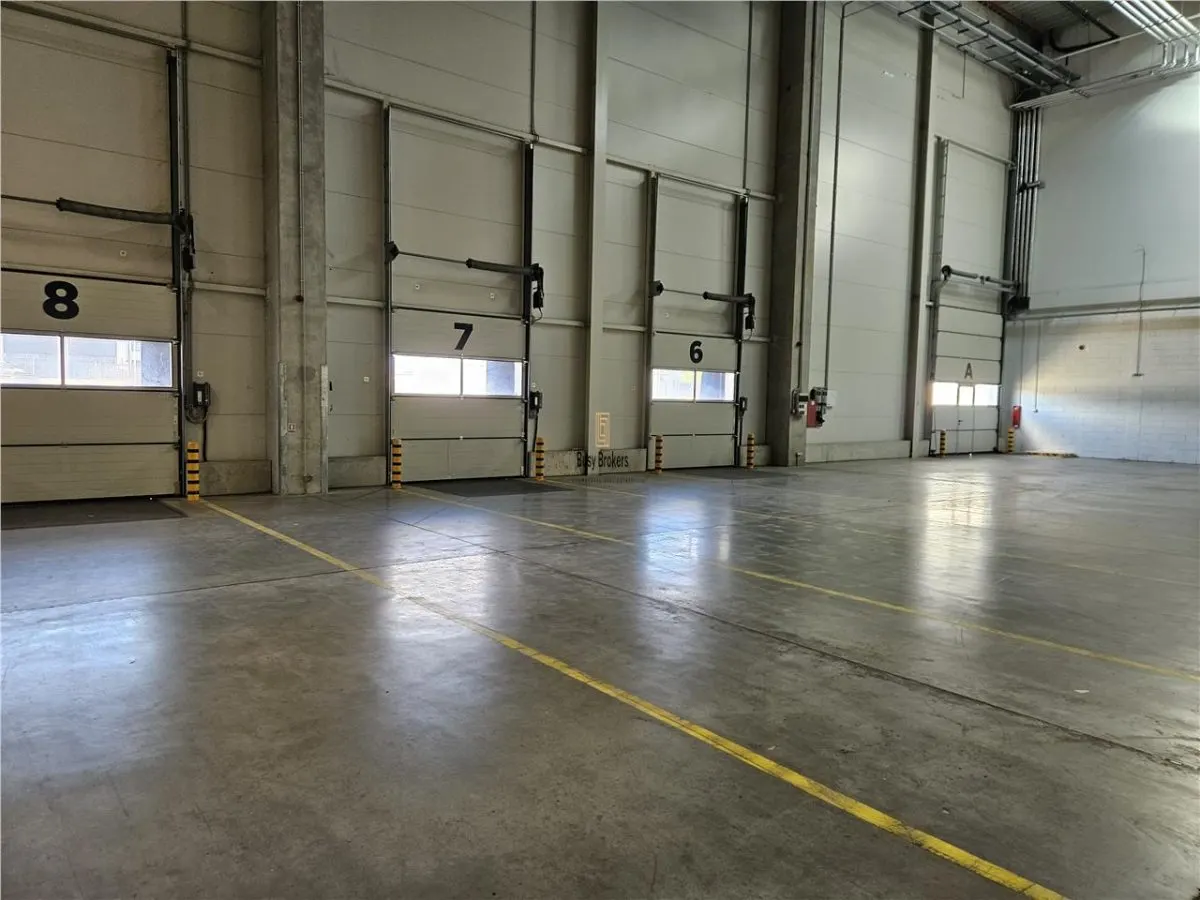 Spatiu Industrial - 5300 mp - Logistica - Productie - Depozitare - Distributie - foto 11