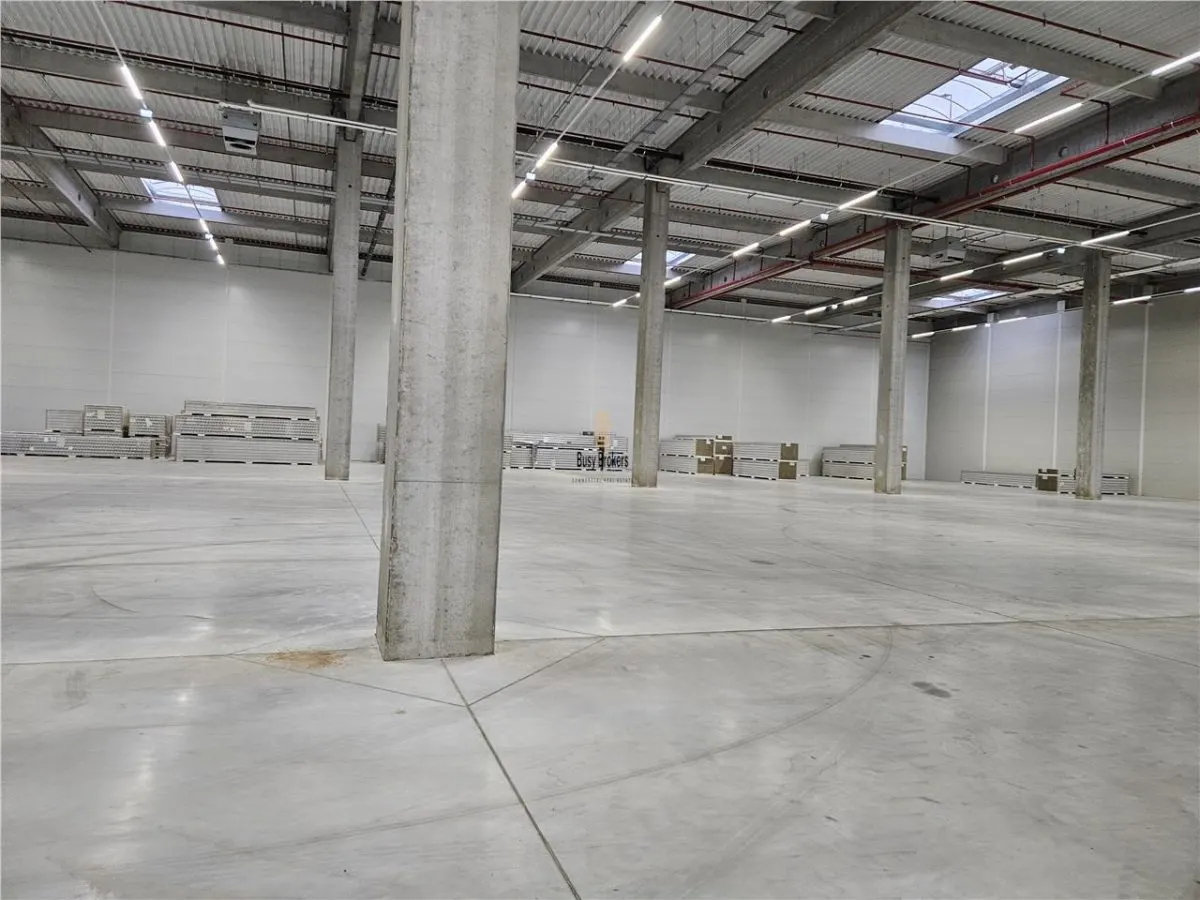 Spatiu Industrial - 5300 mp - Logistica - Productie - Depozitare - Distributie - foto 12