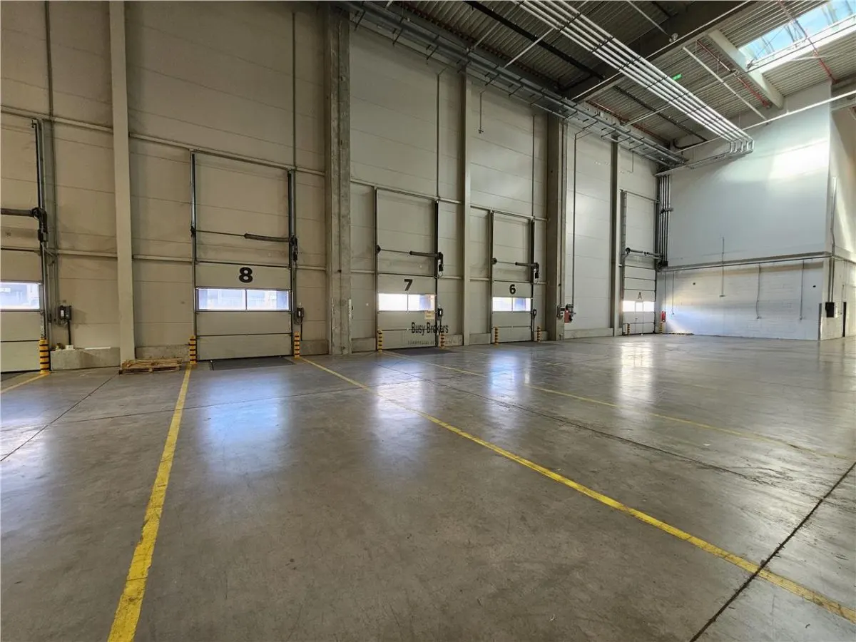 Spatiu Industrial - 5300 mp - Logistica - Productie - Depozitare - Distributie - foto 13