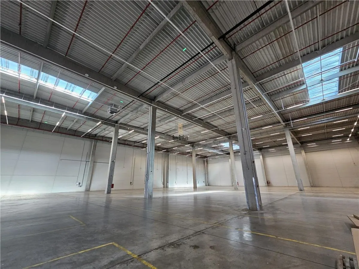 Spatiu Industrial - 5300 mp - Logistica - Productie - Depozitare - Distributie - foto 18