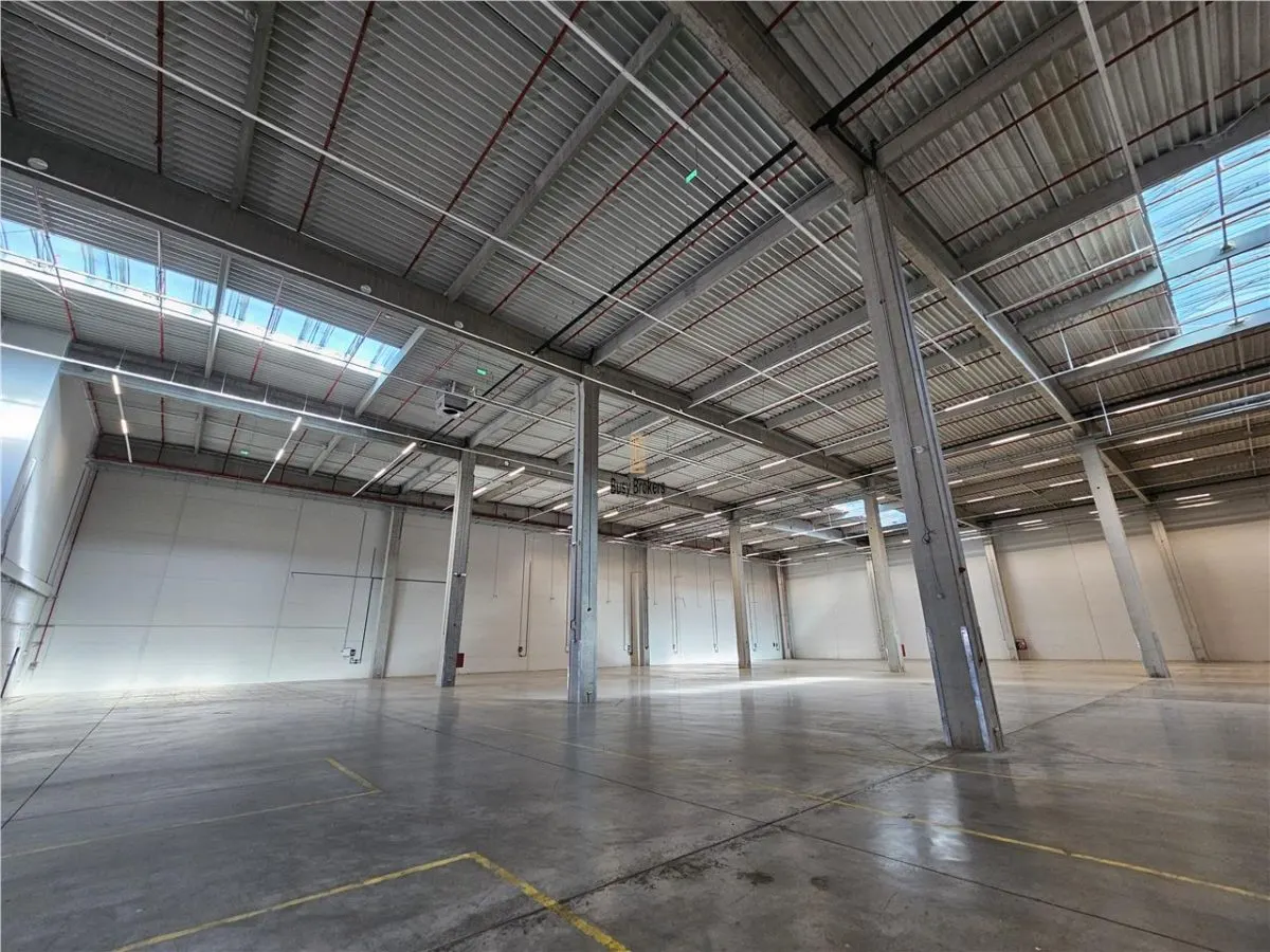 Spatiu Industrial - 5300 mp - Logistica - Productie - Depozitare - Distributie - foto 20