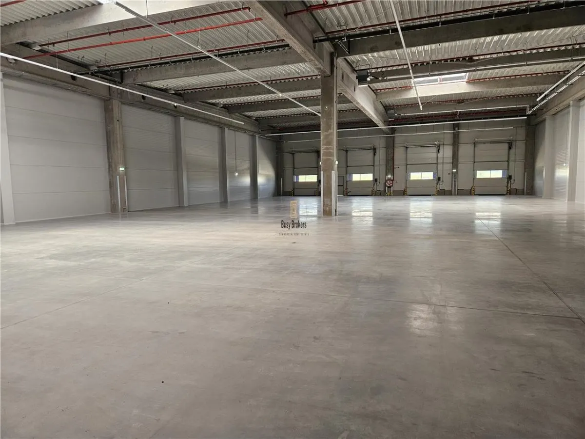 Spatiu Industrial - 5300 mp - Logistica - Productie - Depozitare - Distributie - foto 21