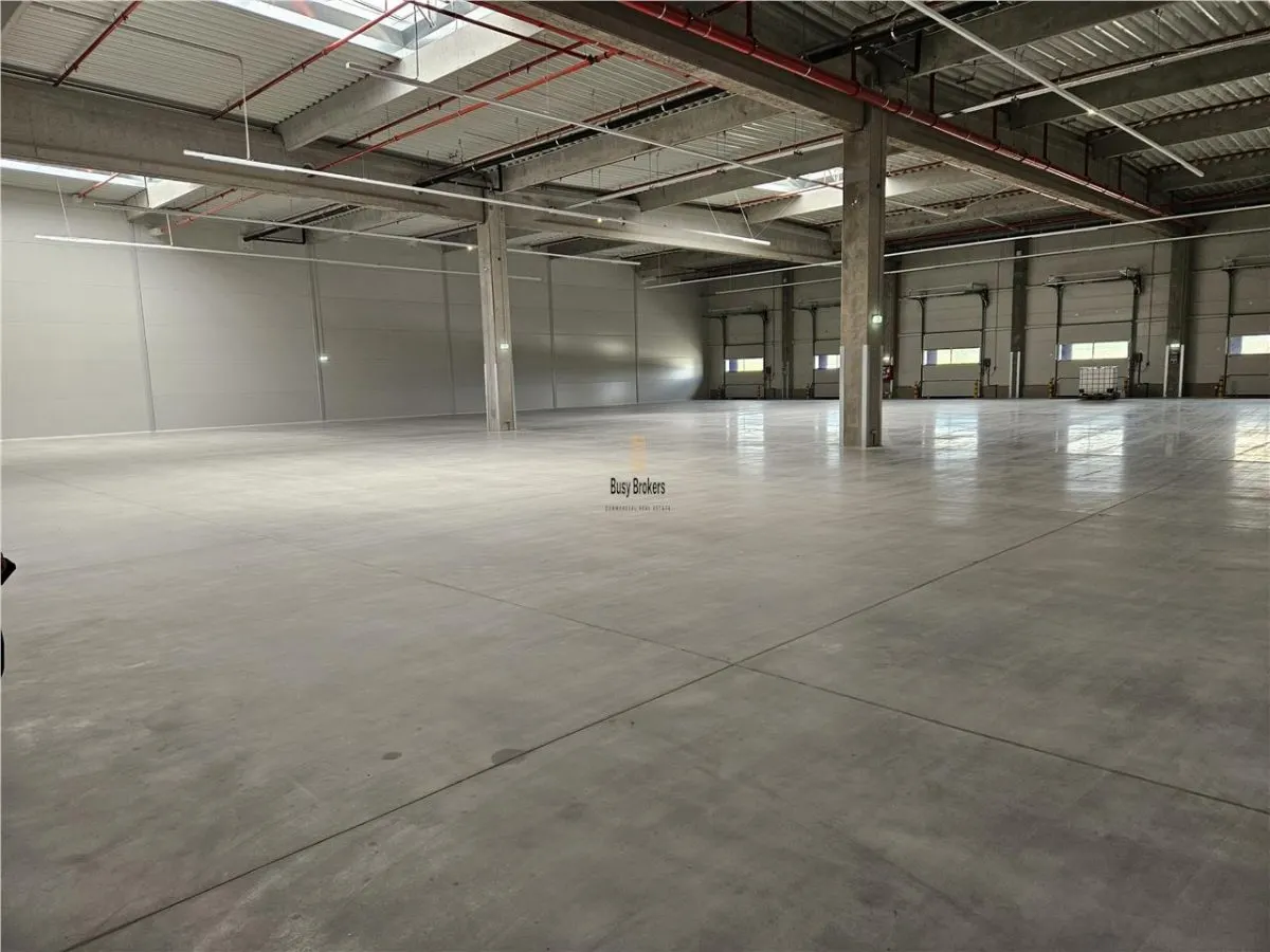 Spatiu Industrial - 5300 mp - Logistica - Productie - Depozitare - Distributie - foto 24