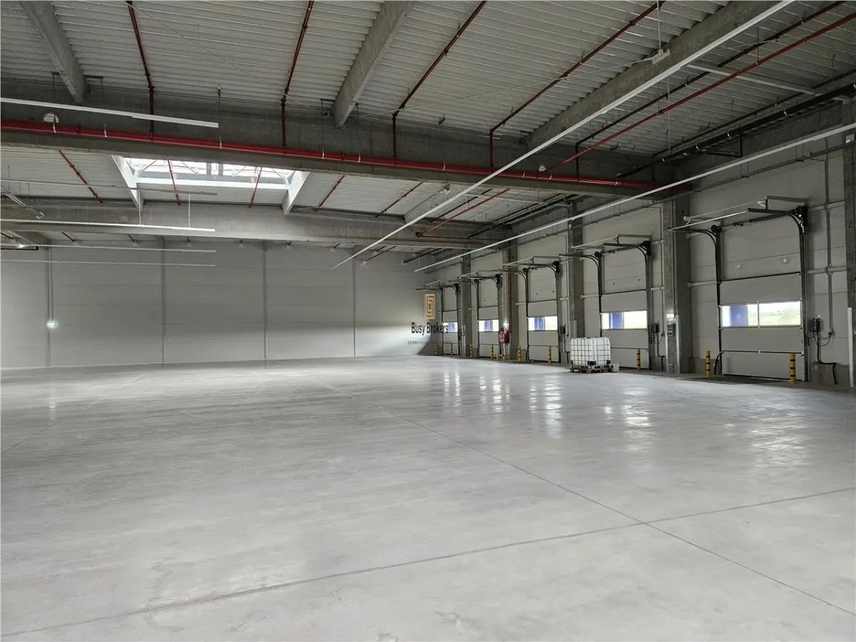 Spatiu Industrial - 5300 mp - Logistica - Productie - Depozitare - Distributie - foto 25