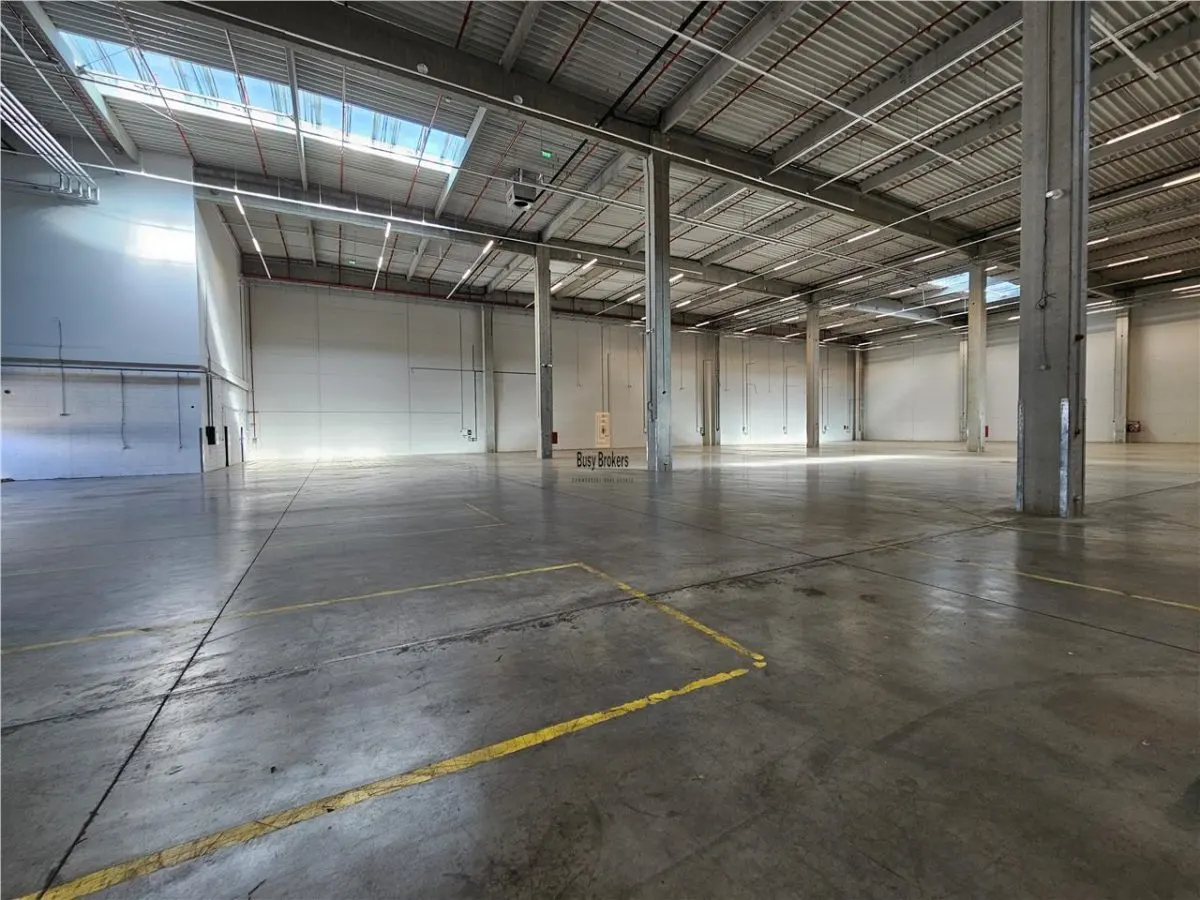 Spatiu Industrial - 7600 mp - Logistica - Productie - Depozitare - Distributie - foto 11