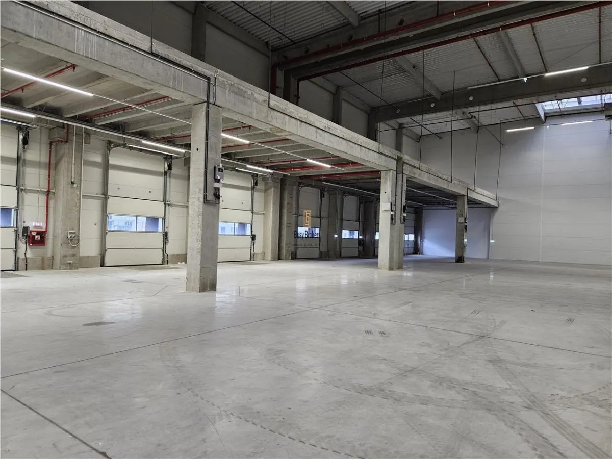 Spatiu Industrial - 7600 mp - Logistica - Productie - Depozitare - Distributie - foto 12