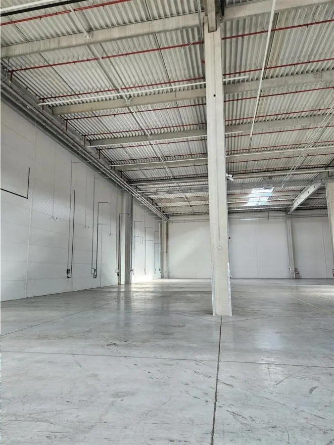 Spatiu Industrial - 7600 mp - Logistica - Productie - Depozitare - Distributie - foto 3