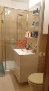 Vanzarea apartament 4 camere Tei - Bucuresti