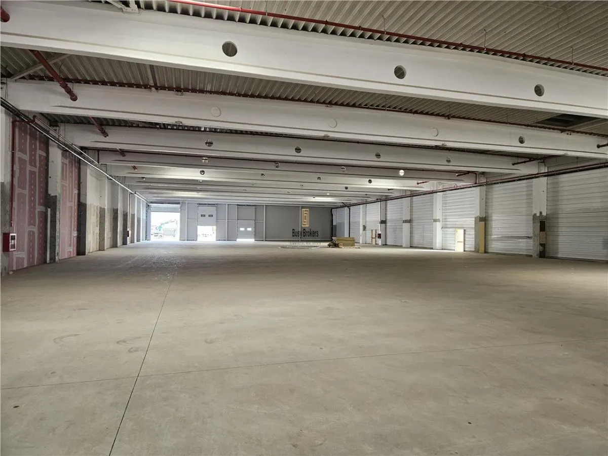 Spatiu Industrial - 9500 mp - Logistica - Productie - Depozitare - Distributie - foto 8
